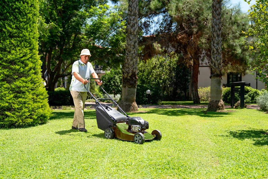 top rated electric lawn mowers